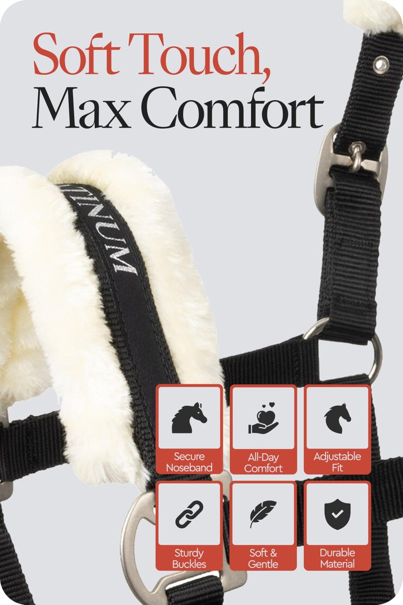 HORZE Howard Soft Fleece Padded Adjustable Polyester Horse Halter - Black - Horse - Image 5